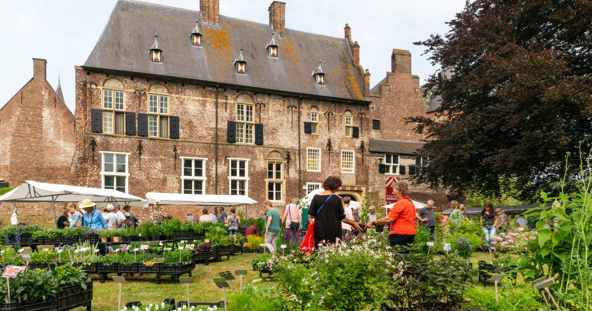 Niet genoeg handjes en plantjes: Tuinmarkt van Kasteel Hernen geannuleerd