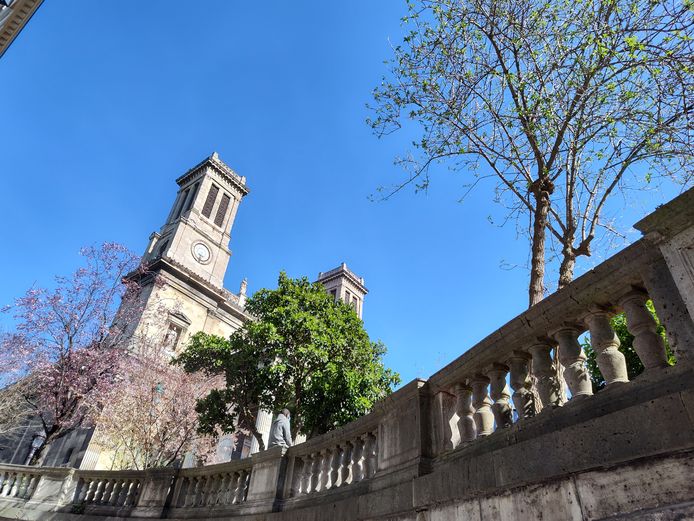 De hoofdcamera van de Motorola Edge 30 Pro trekt mooie foto's bij zonlicht.