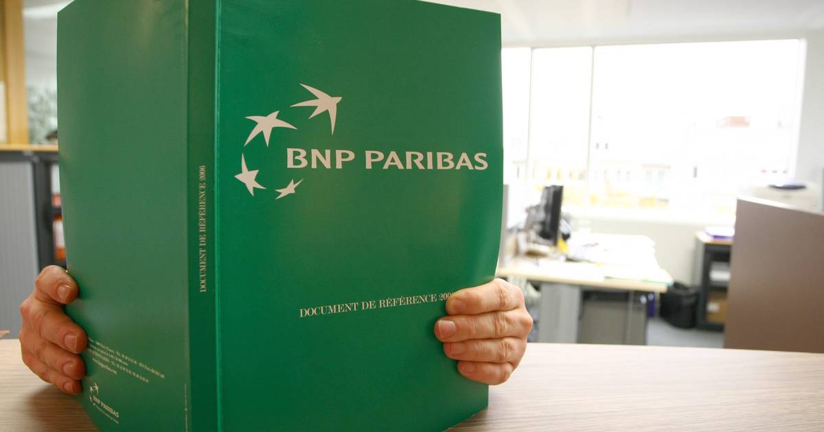 Bnp. BNP Paribas. Французский банк BNP Paribas. БНП Париба Москва. Директор BNP Paribas Fortis.