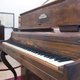 Liefhebber van 'open muziek' wil werk Chopin bevrijden