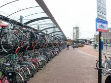 Almelose verslaafde accudief gaat ook bij Bauhaus in Hengelo hardhandig voor de bijl: ‘Ik was doorgeslagen’