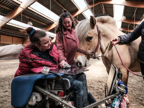 Er lijkt wel een klik tussen Litania en Daantje: nieuw paard voor manege in Nieuw-Wehl