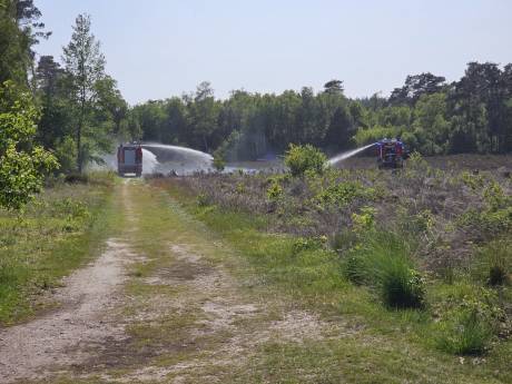 Piloot ontdekt bosbrand bij Veenendaal: stuk natuur van 50 bij 20 meter verloren gegaan