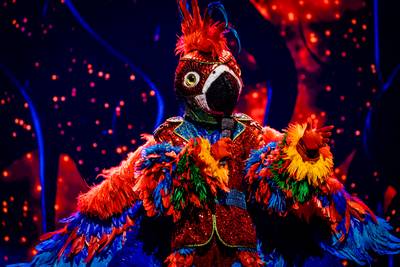 Papegaai valt af in ‘The Masked Singer’, bekijk zijn ontmaskering en alle optredens van de avond