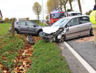 Vier gewonden na roekeloos inhaalmanoeuvre op N42 in Schendelbeke