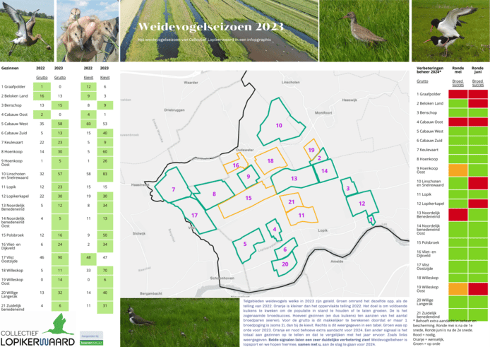 Het gaat goed met de weidevogels in de Lopikerwaard.