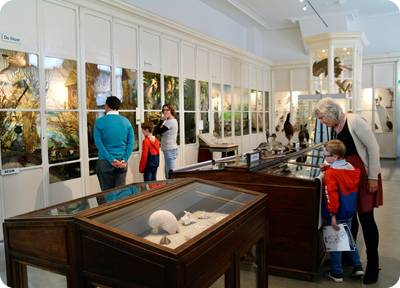 Moet het museum in Oudenbosch straks de deuren sluiten? ‘We zijn een serieus museum en willen dat de