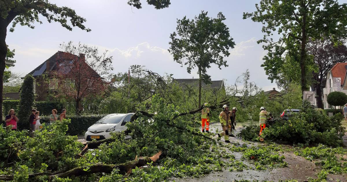 Bossen Rondom Leersum Na Storm Bestempeld Tot Levensgevaarlijk Gebied Utrecht Gelderlander Nl