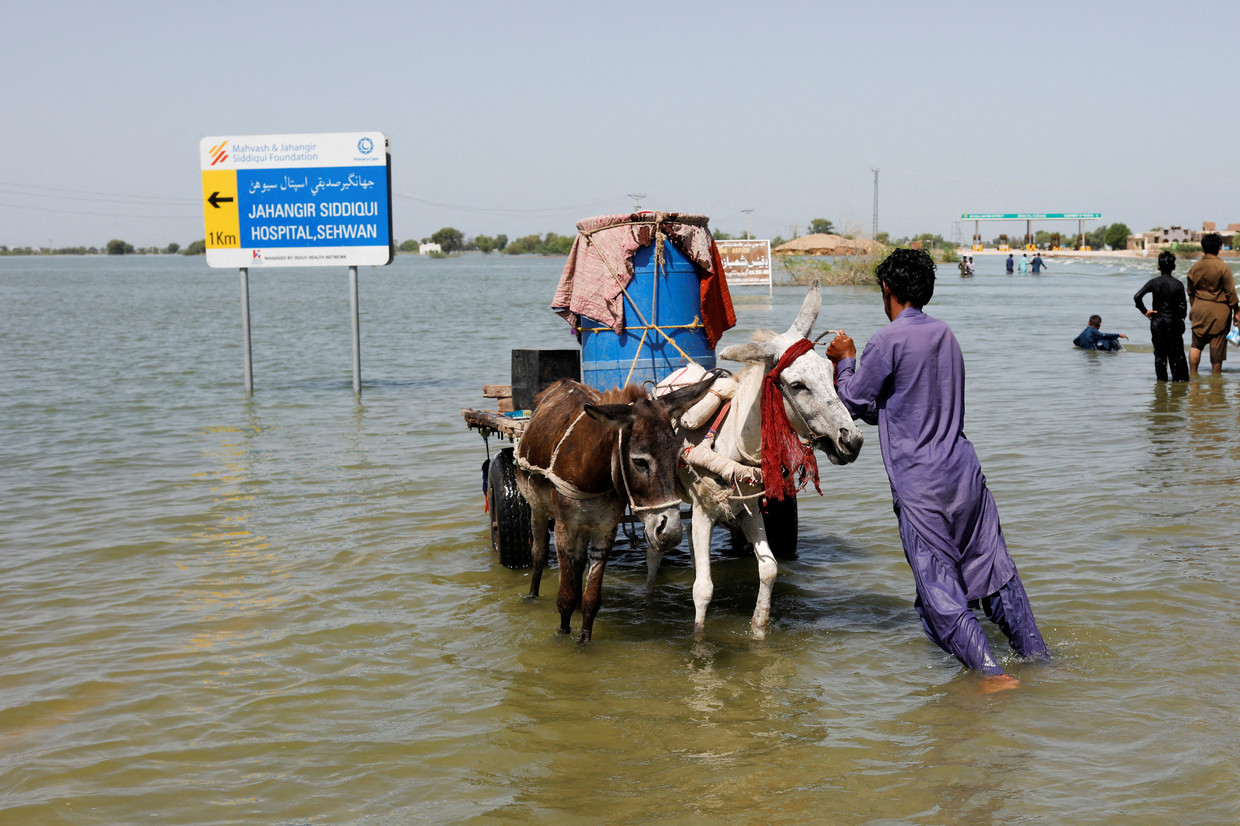 Een slachtoffer van een overstroming duwt zijn ezelskar op een overstroomde snelweg in Sehwan, Pakistan. Beeld REUTERS / Akhtar Soomro