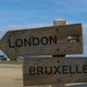 Tientallen Britten in Brussel willen Belg worden