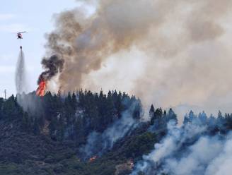 Opnieuw bosbrand op Gran Canaria: luxehotel en vakantiehuis geëvacueerd