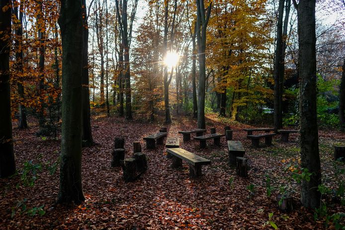 De natuurbegraafplaats op de Slangenburg wordt uitgebreid. Foto: Jan van den Brink