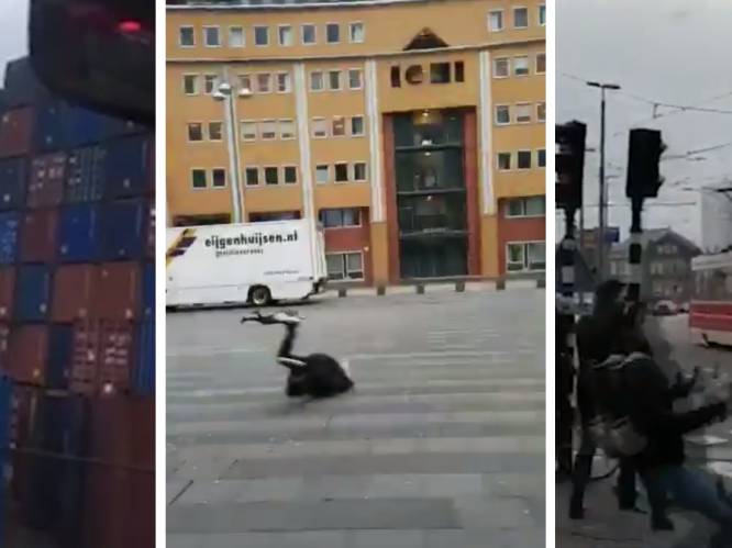 VIDEO: Onthutsende stormbeelden uit Nederland: voetgangers omvergeblazen, containers vallen om en fiets vliegt gewoon weg