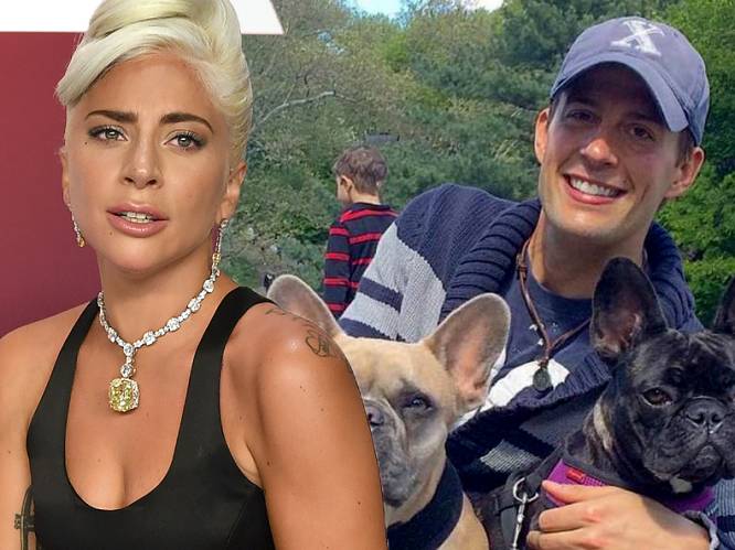 Hondenuitlater Lady Gaga blikt terug op schietpartij: “Ik had maar één doel voor ogen: de hondjes veilig thuis krijgen”