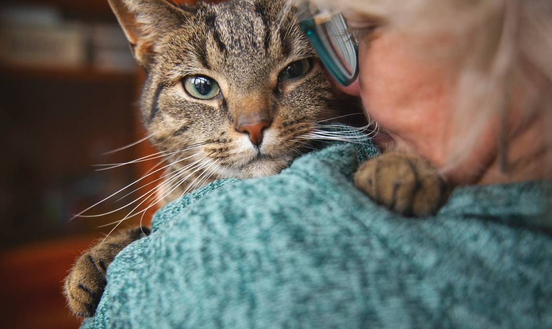 Kattengedragsdeskundige Petra: zo weet je of een hond of kat zich normaal gedraagt