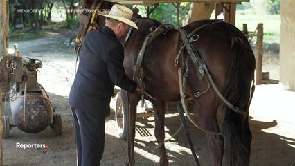 7. Mennonites : vivre au rythme d'un autre siècle