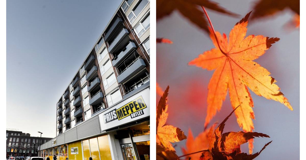 Mega-merkenoutlet EPS naar Enschede, tranen van geluk in Bentelo & tips voor herfstvakantie - Tubant