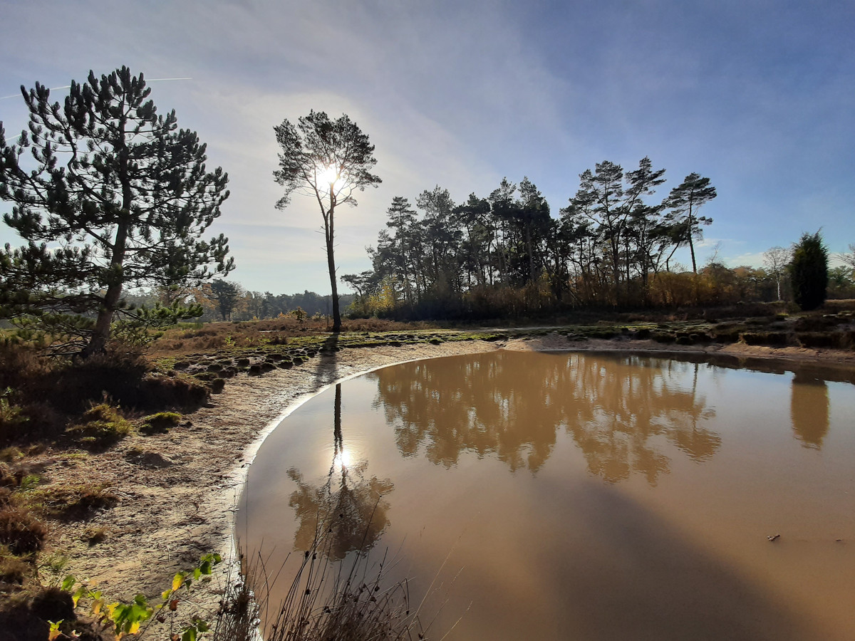 Wandelen door 3000 jaar geschiedenis met