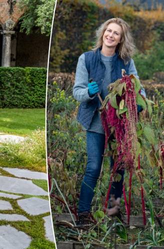 “Hoe meer het water kan insijpelen, hoe minder kans op overstromingen”: zo onthard je jouw tuin zonder in te boeten aan comfort