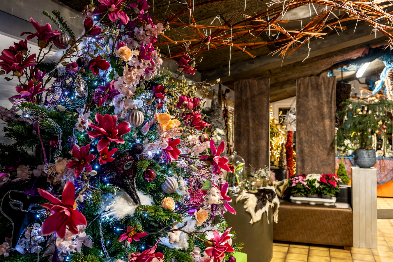 Veertigste Kerstopendeur bij florist Ludo Annaert “Helemaal verzot op