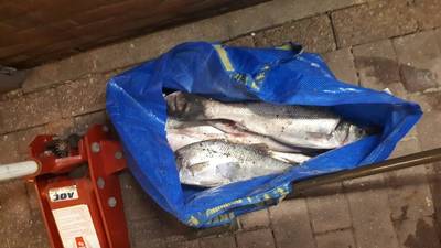 Zes visstropers aangehouden op Oosterscheldekering; agent bedreigd