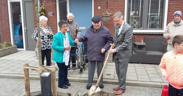 Honderdjarige plant lijsterbes in Ellemeet