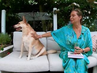 VIDEO. Voormalig tv-gezicht Martine Prenen vertelt waarom een adoptiehond haar ultieme gezondheidstip is