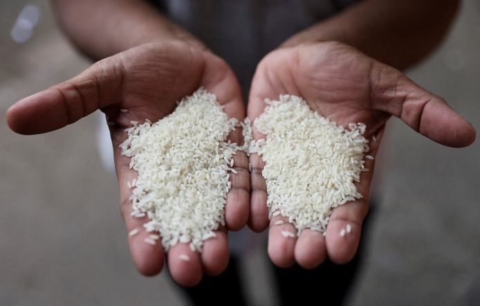De stap van India, ‘s werelds grootste rijstexporteur, zet de wereldwijde aanvoer van rijst naar verwachting verder onder druk.