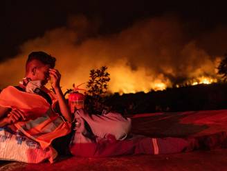 Bosbranden Turkije blijven doorrazen: 13 branden niet onder controle
