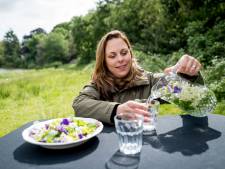 Ilona gaf kantoorbaan op en werd wildplukster in Twente: ‘Geen seconde spijt’
