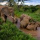 Jihadisten doen bloedige aanval op nationaal park Benin