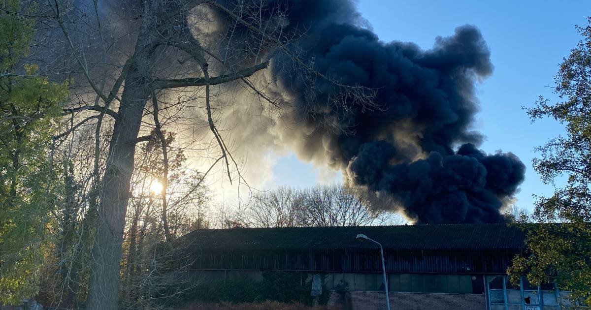 Brand op terrein van bouwbedrijf in Opijnen, metershoge zwarte rookwolk in omgeving te zien - BD.nl