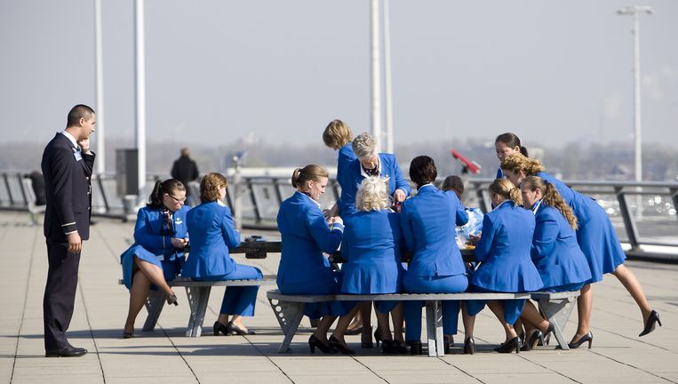 Onderdrukken zweer Voorbereiding KLM recyclet stewardess-uniformen | Het Parool