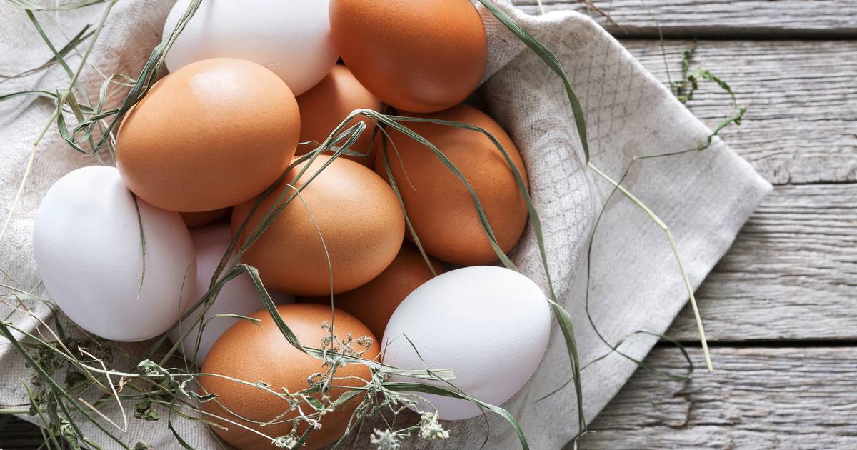 Superioriteit uitroepen Interessant Een bruin ei is gezonder dan een wit ei: de waarheid achter vijf  voedingsmythes | Koken & Eten | AD.nl