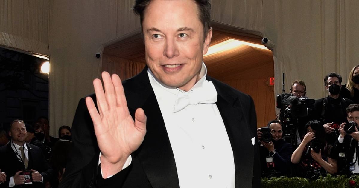 Il collaboratore di Twitter fa causa a Elon Musk per violazione del contratto |  Economia