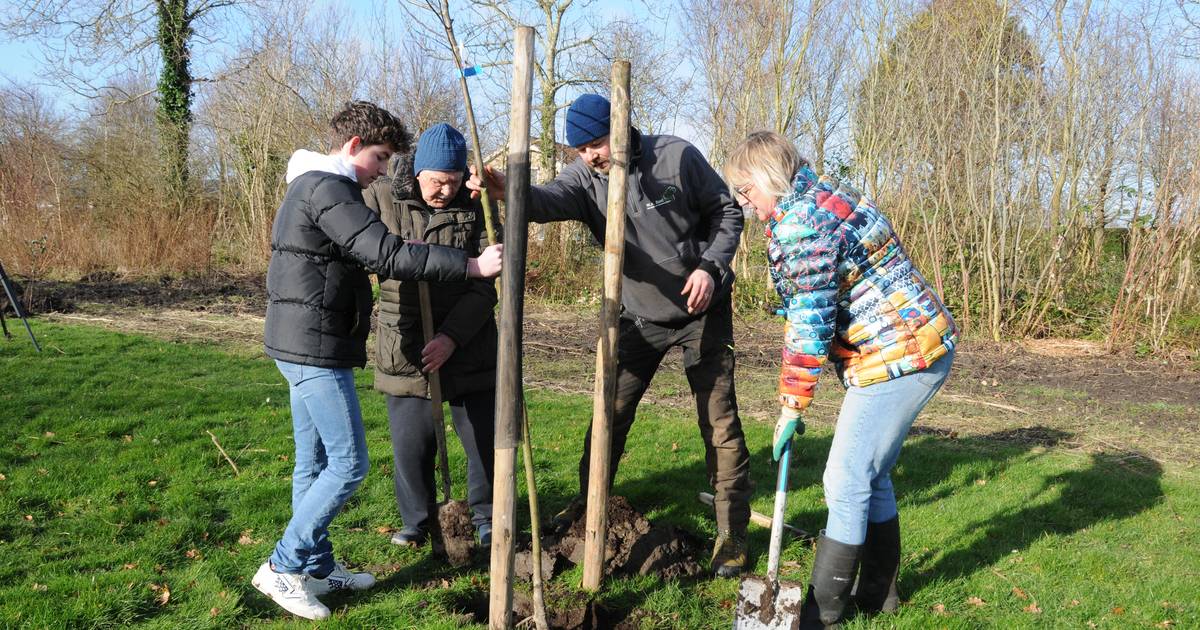 Oude dorpsboomgaard wordt nieuw leven ingeblazen; De Kroon is gezet in Ellemeet