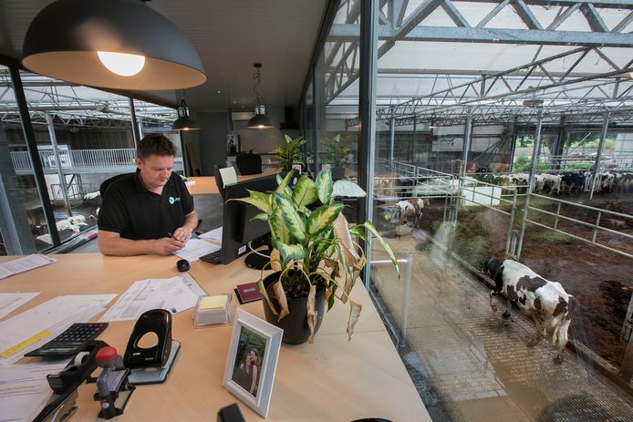 Melkveehouder Arjan Geenen kijkt vanuit zijn kantoor uit over zijn nieuwe vrijloopstal.