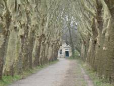 Vier ton voor restauratie en instandhouding van Gestels Haanwijk en stadsklooster Den Bosch