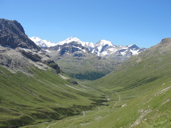 De groene Val da Fain in Zwitserland.