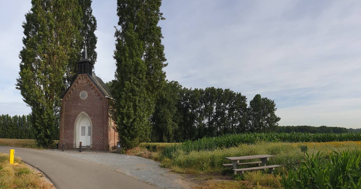 Landelijke Nederhasselt Verkennen Tijdens Toeristische Wandeling Ninove Hln Be