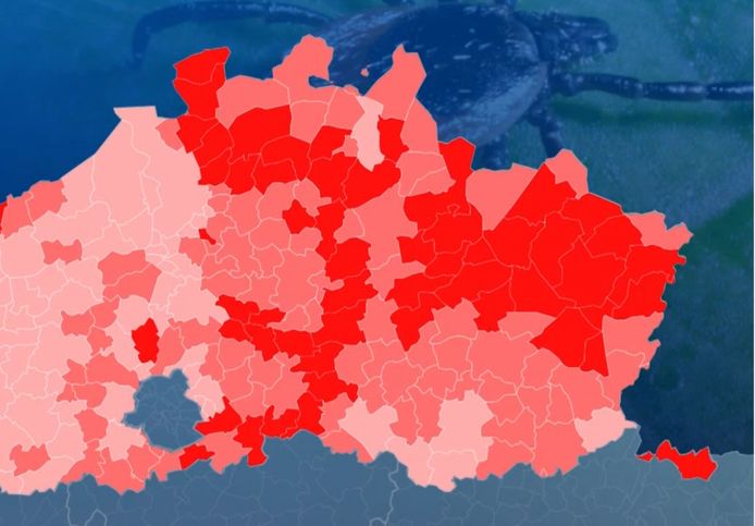 Een kaart van de teken in Vlaanderen: teken zitten vooral in het oosten, omdat daar meer groen is. Blauwe gebieden op de kaart zijn Brussel en Wallonië.