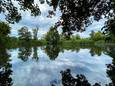 Natuurgebied Walenhoek in Niel.
