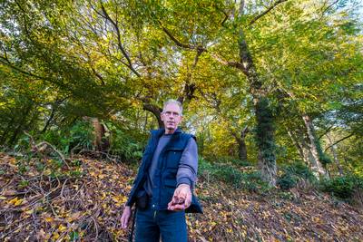 Waldboer Arno van der Kruis wil kastanjeteelt nieuw leven inblazen