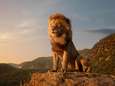 Tweede liveactionfilm ‘The Lion King’ in de maak