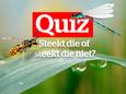 Is een libel gevaarlijk? Doe mee aan de “steekt die of steekt die niet”-quiz