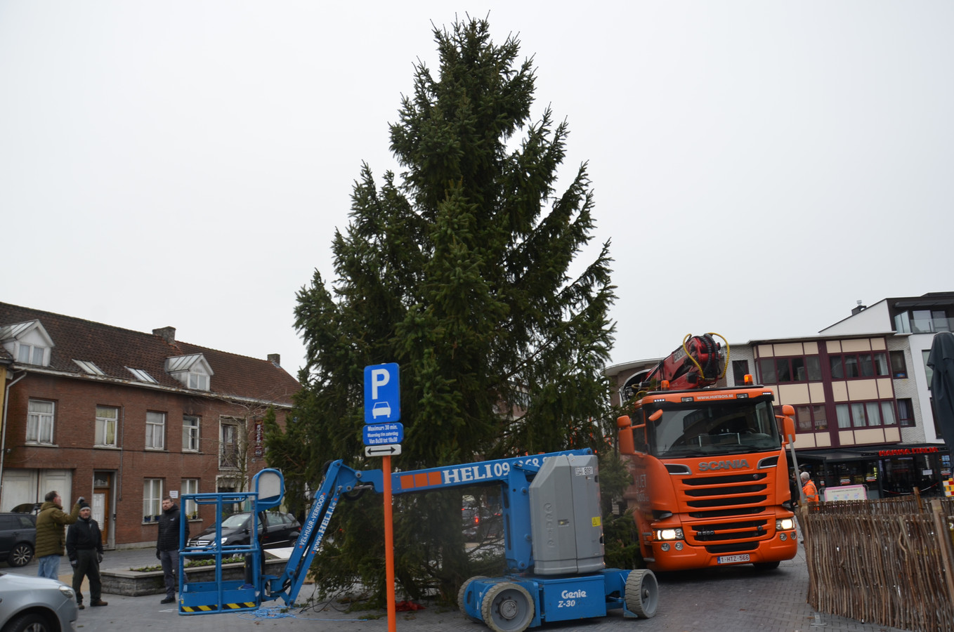 De grote kerstboom werd vrijdag op de Graanmarkt van Ninove geplaatst.