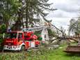 Brandweerzone verwerkt 150 oproepen: voornamelijk omgewaaide bomen