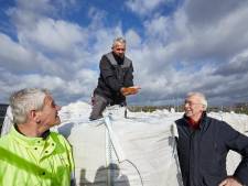 Kunstgras dat bijna culinair klinkt: FC Zutphen speelt (straks) op een bedje van kurk met gemalen olijfpit