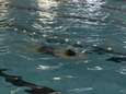 La piscine de Fleurus a rouvert ses portes sous certaines conditions