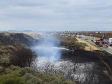 Burgemeesters doen dringende oproep om voorzichtig te zijn: ‘Mens vaak veroorzaker natuurbrand'